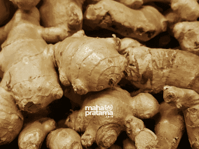 Types of Ginger and Indonesian Ginger-Based Products