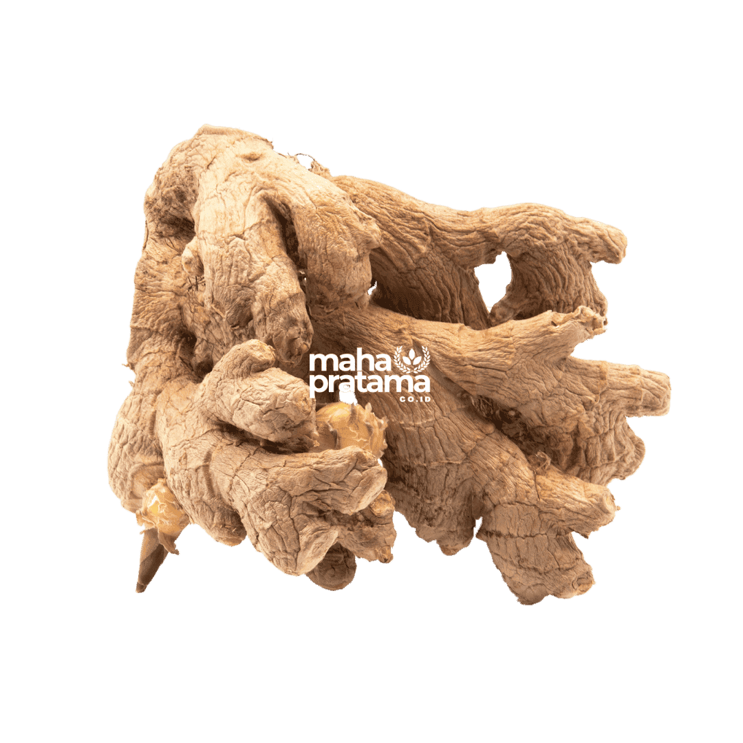 Ginger Emprit: Benefits and Industrial Uses
