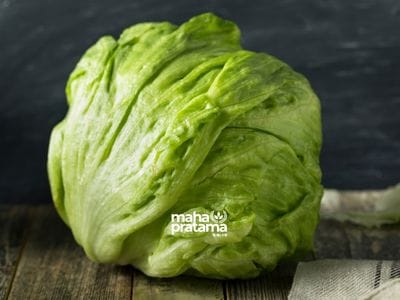Supplier Lettuce Garut – Pasokan Selada Segar untuk Waralaba, Horeca, dan Dapur Profesional