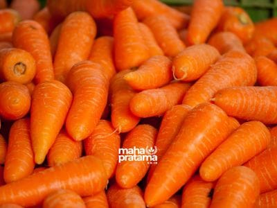 Supplier Wortel Brastagi untuk Jawa Barat