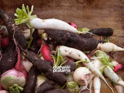 Root Vegetables
